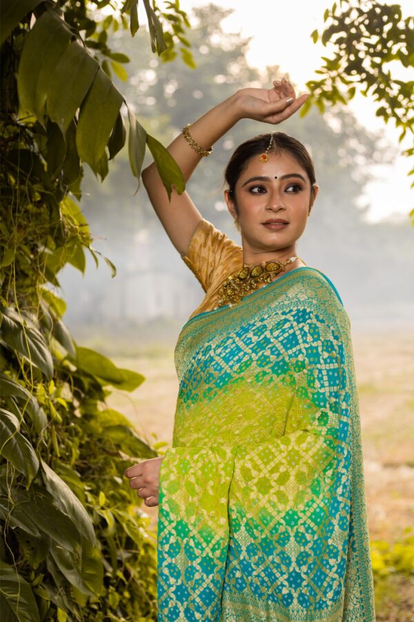 Soft Georgette Banarasi Saree